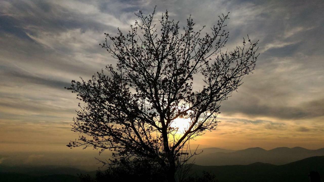 Philoxeninn #4 Πολύγυρος Εξωτερικό φωτογραφία